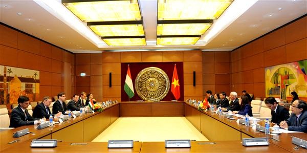 Promoting Vietnam-Hungary multi-faceted relations - ảnh 1